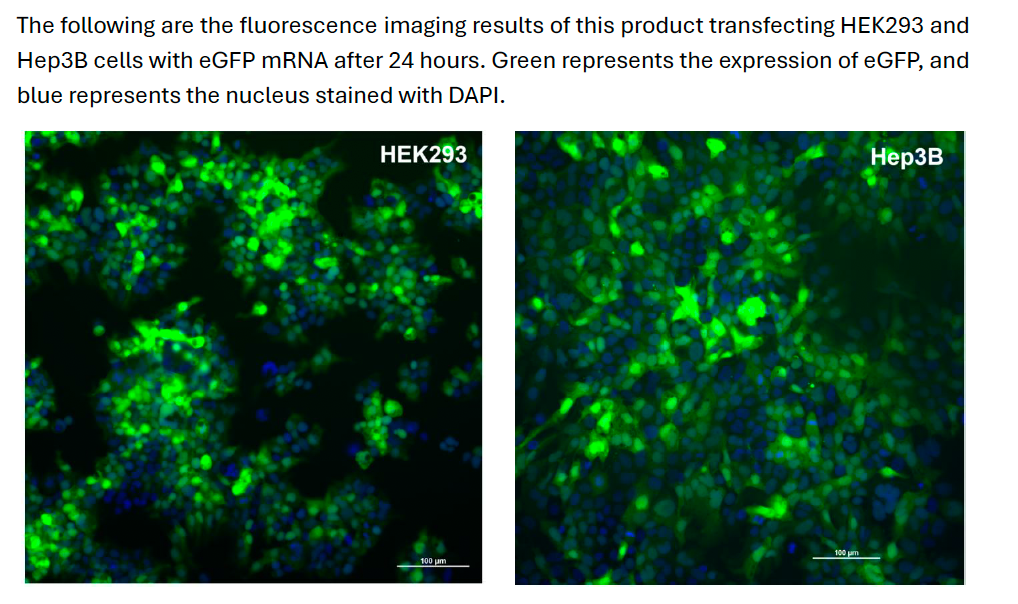 AccuLNP Cell Transfection Kit (For in vitro applications) NTP-0102