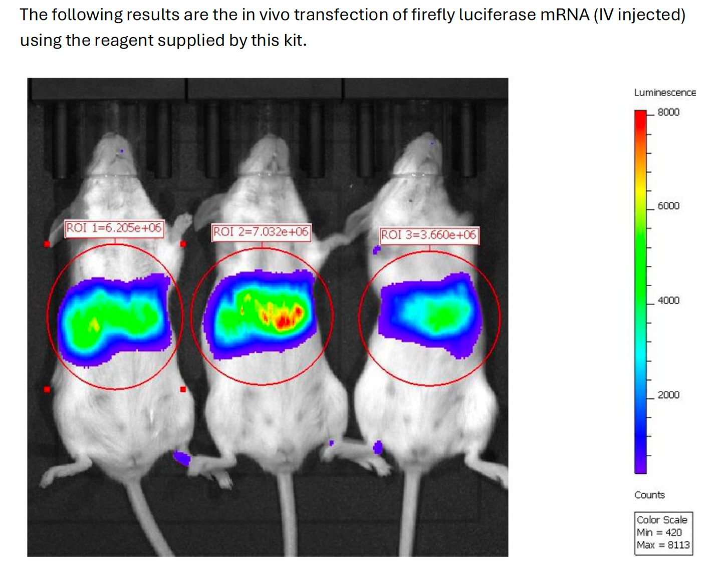 AccuLNP Cell Transfection Kit (For in vivo applications) NTP-0103