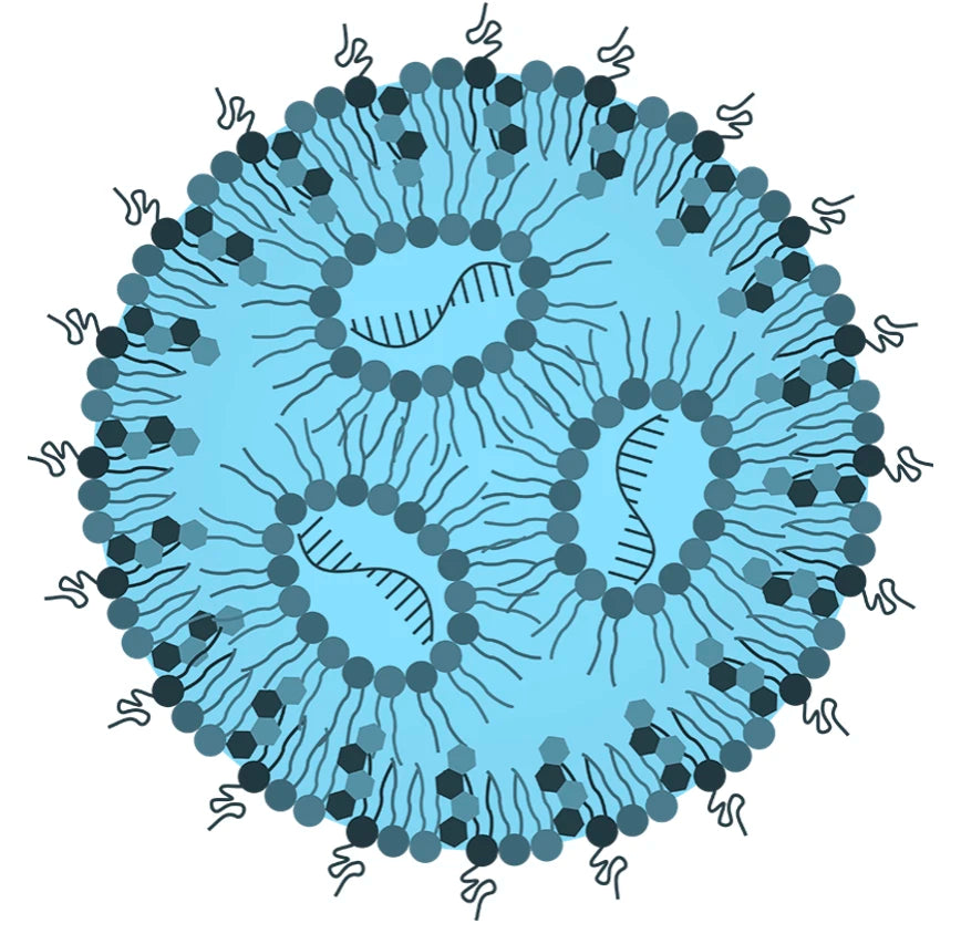 LNP Preparations Related Products