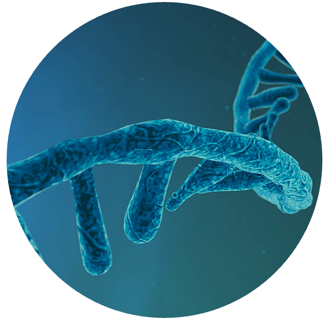 Reagents for mRNA Synthesis