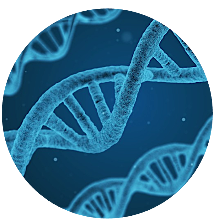 Molecular Biology Reagents