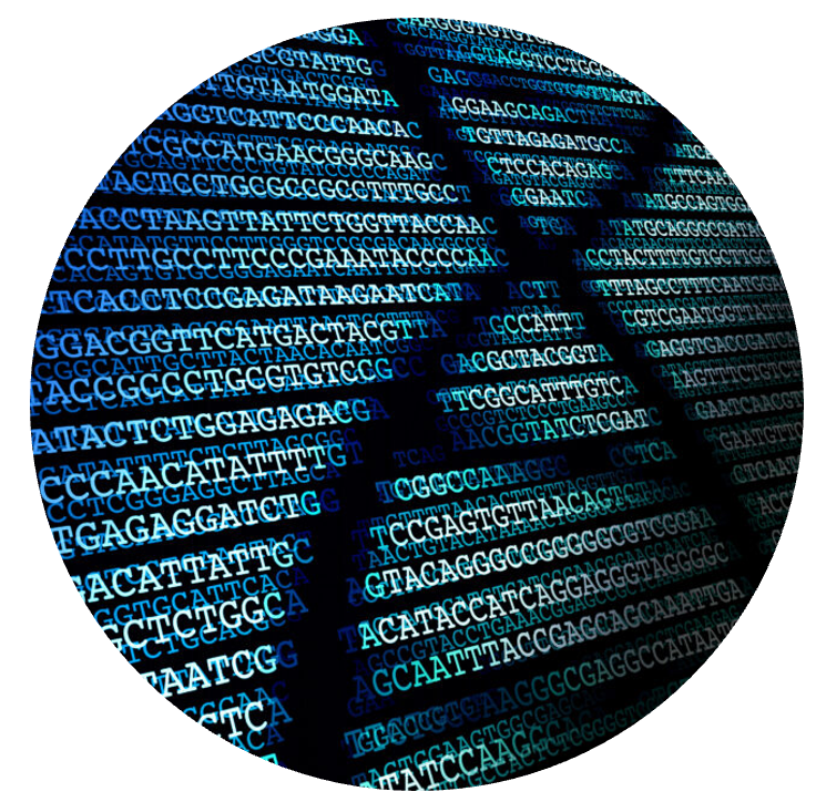 NGS Library Preparation