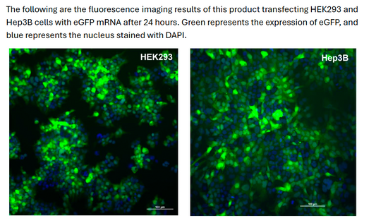 AccuLNP Cell Transfection Kit (For in vitro applications) NTP-0102