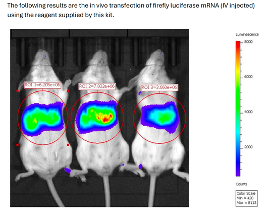 AccuLNP Cell Transfection Kit (For in vivo applications) NTP-0103